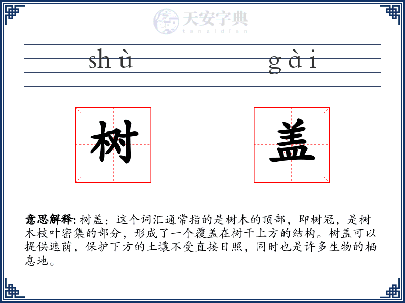 树盖