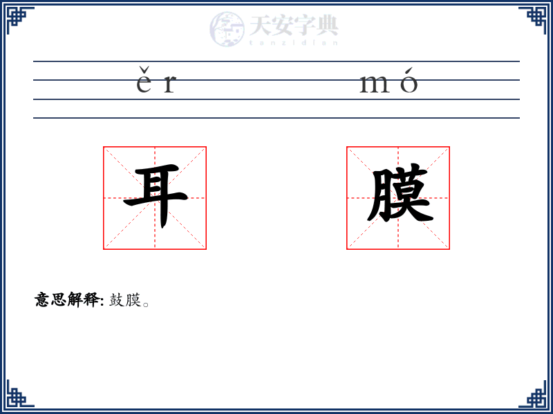 耳膜
