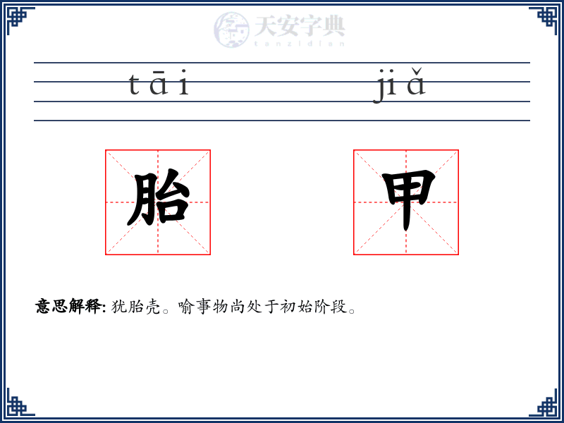 胎甲
