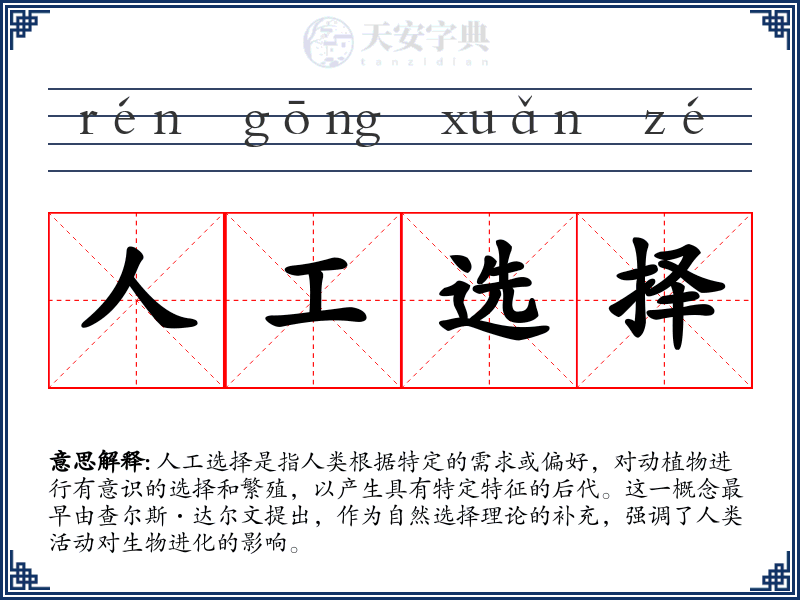 人工选择