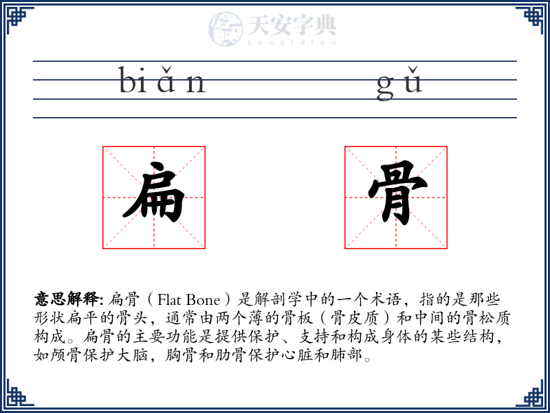 扁骨