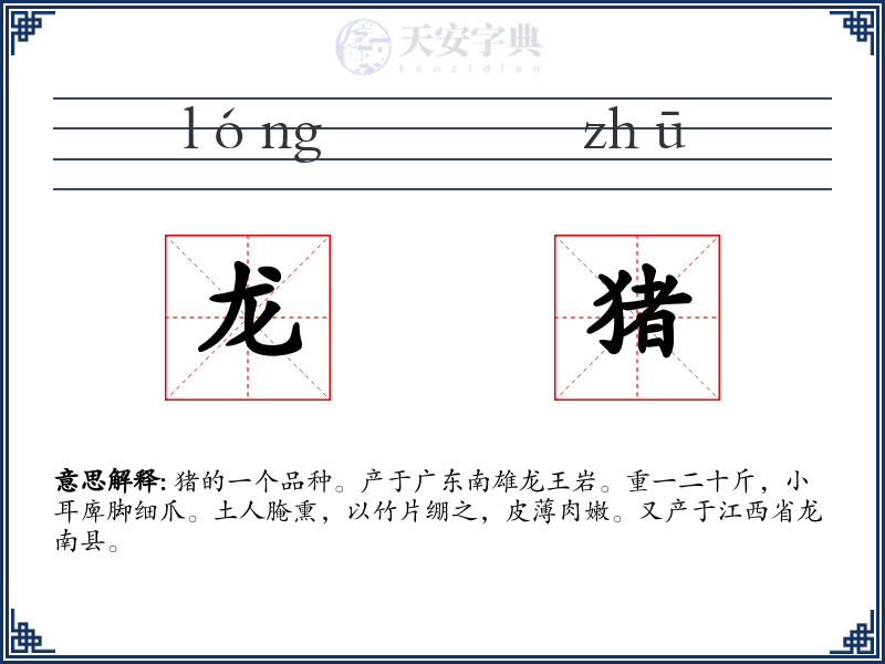 龙猪