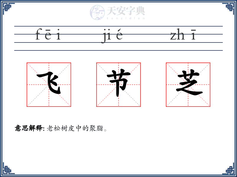 飞节芝