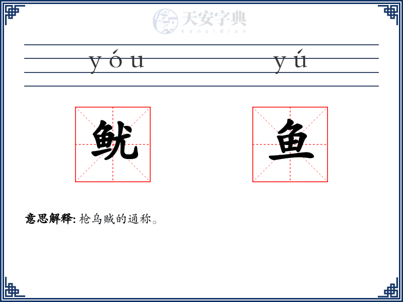 鱿鱼