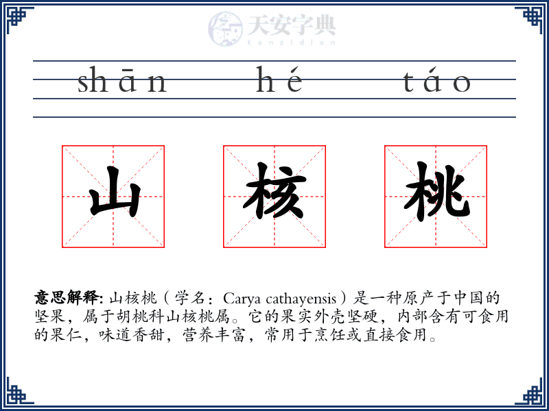 山核桃
