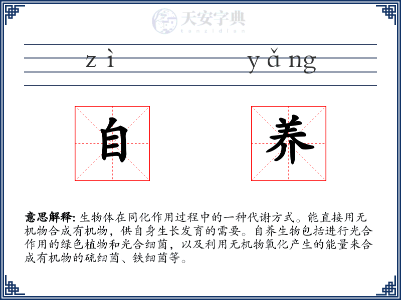 自养