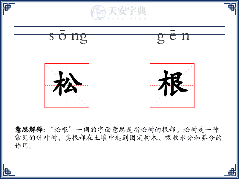 松根