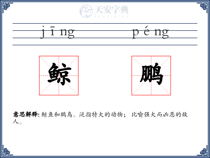 鲸鹏