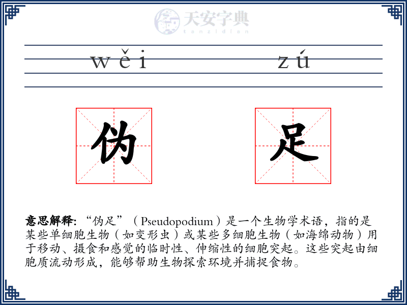 伪足