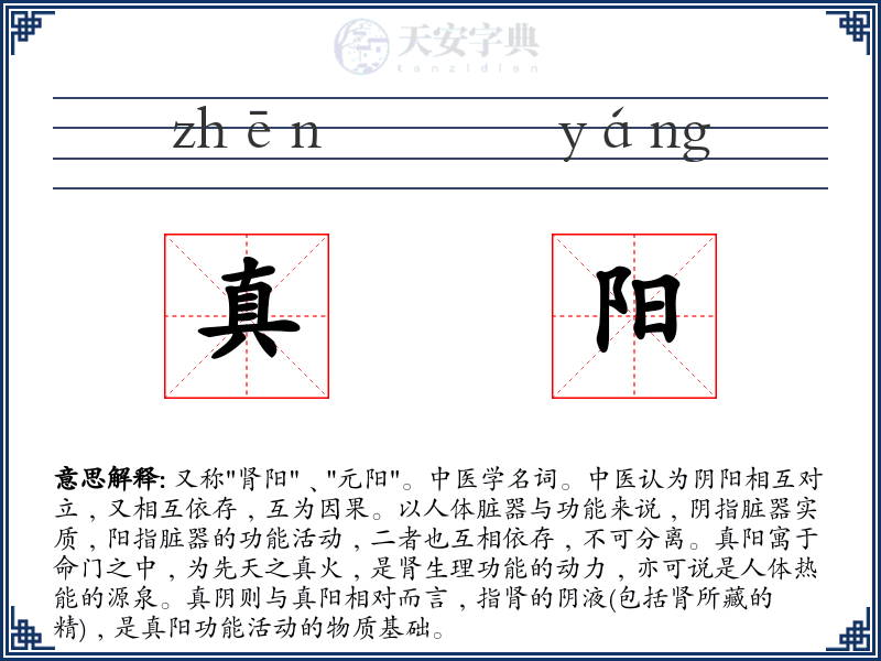 真阳