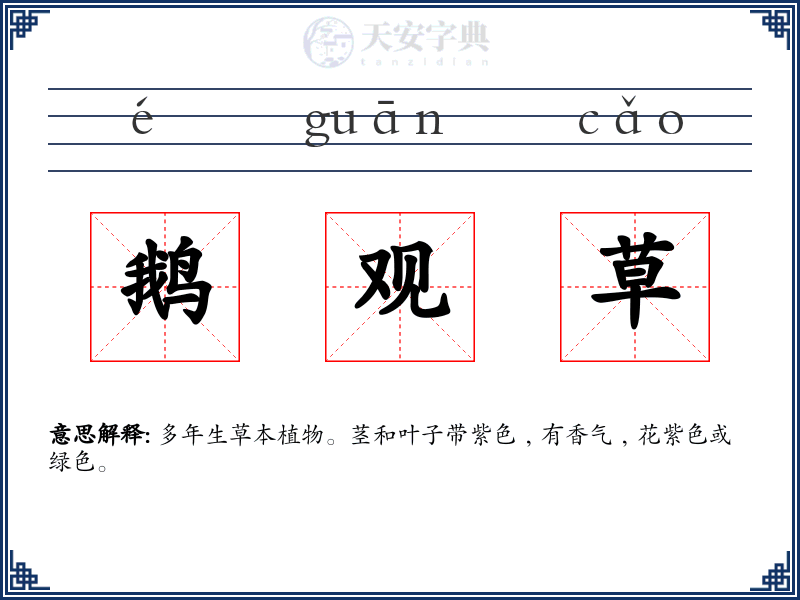 鹅观草