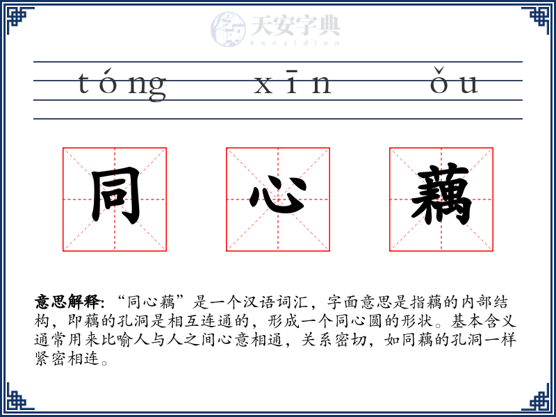 同心藕