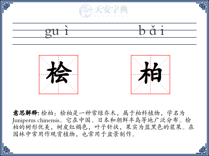 桧柏