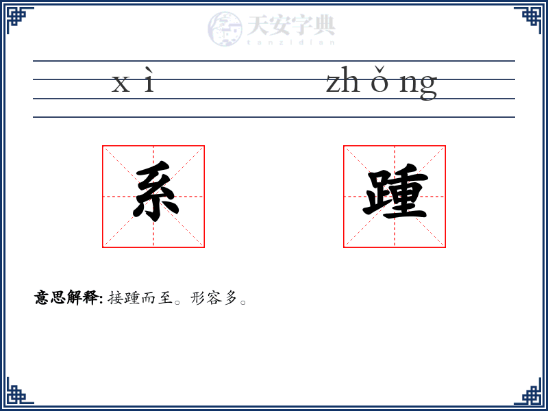 系踵