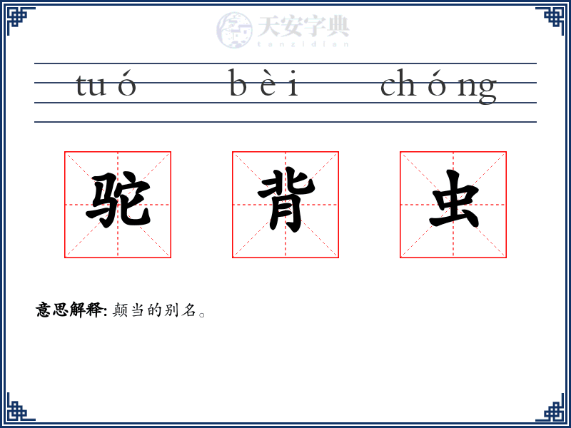 驼背虫