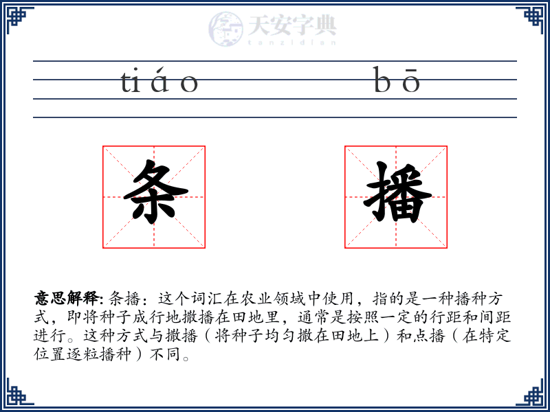 条播
