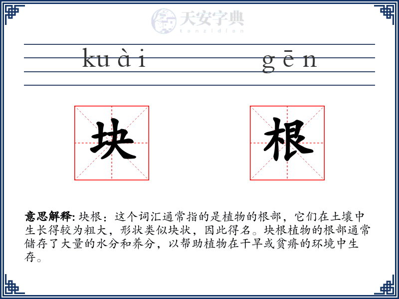 块根