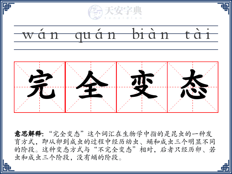 完全变态