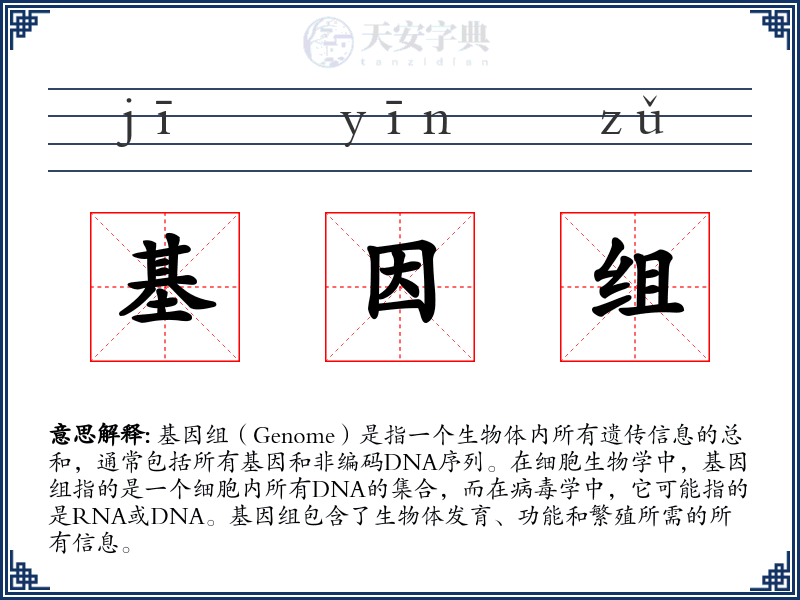 基因组