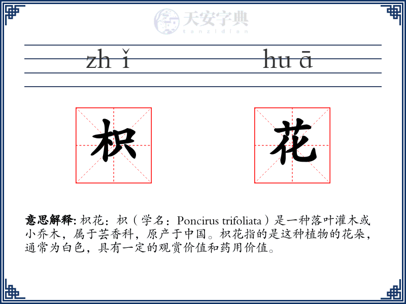 枳花