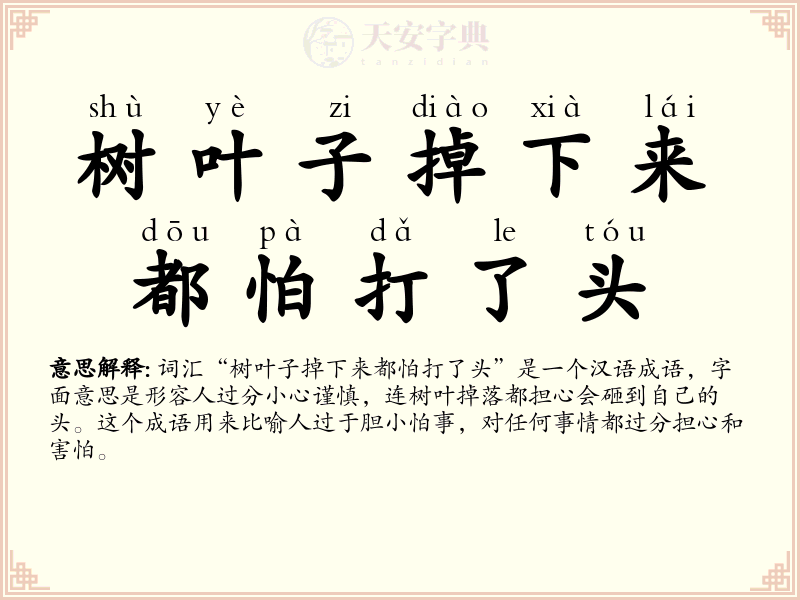 树叶子掉下来都怕打了头