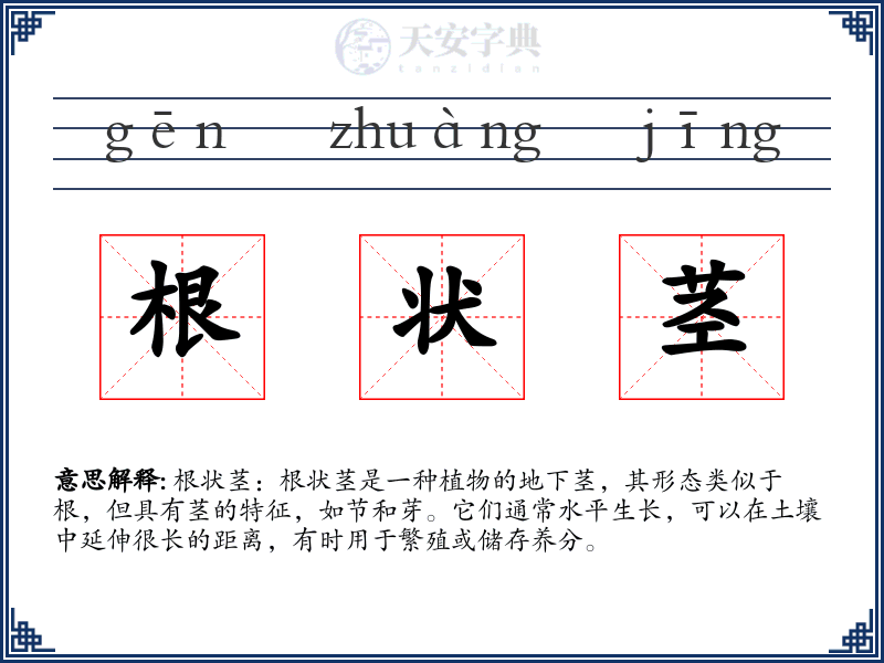 根状茎