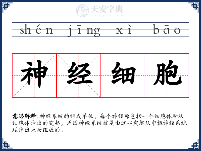 神经细胞