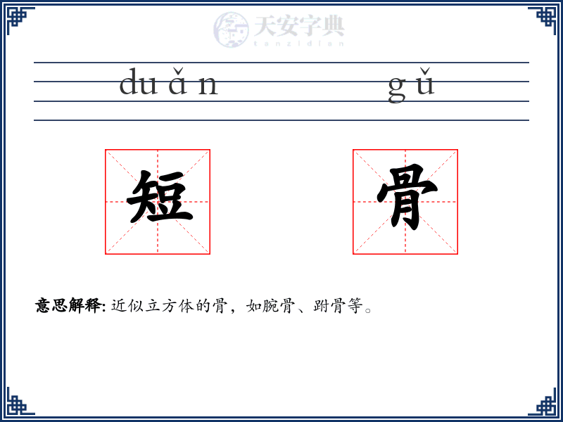 短骨