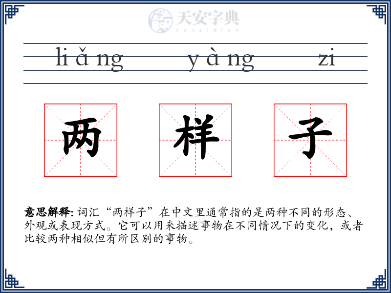 两样子