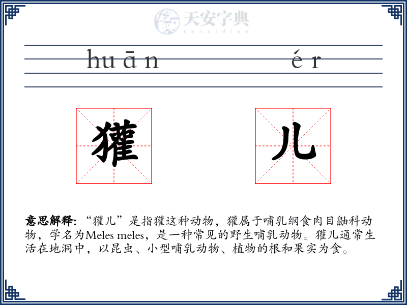 獾儿