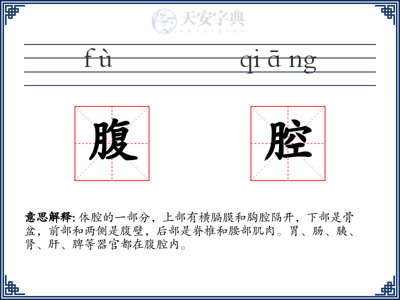 腹腔