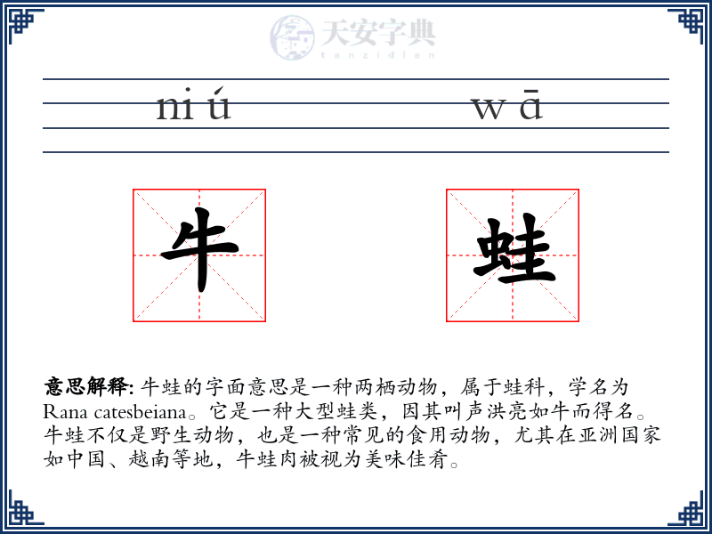 牛蛙