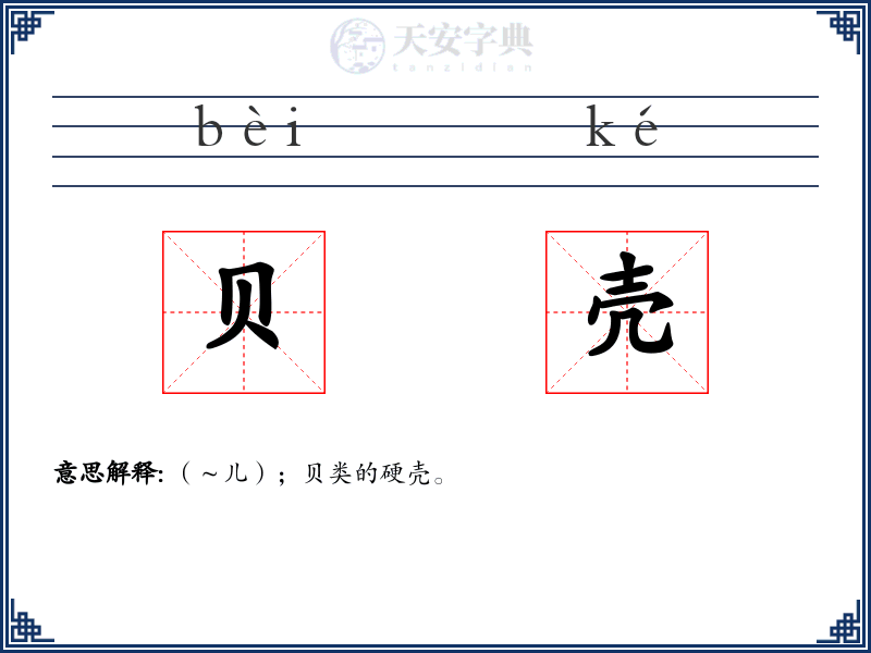 贝壳