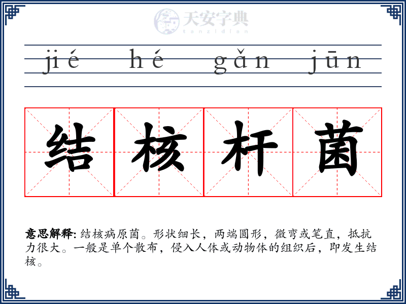 结核杆菌