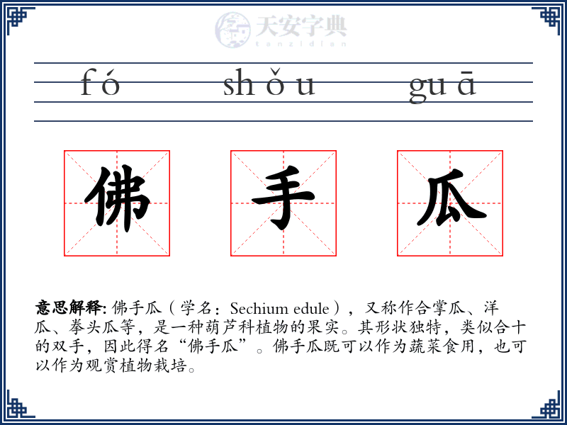 佛手瓜
