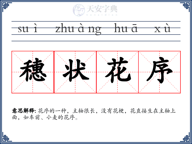 穗状花序