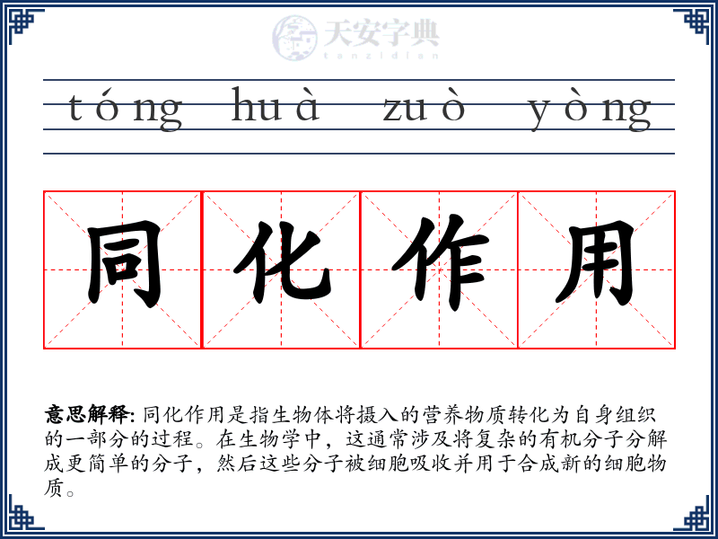 同化作用