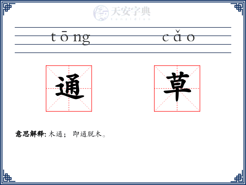 通草