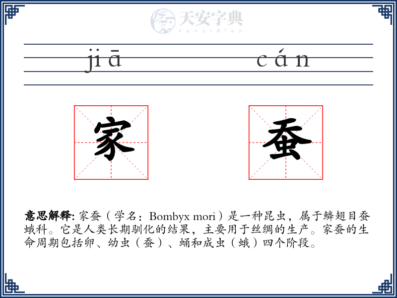 家蚕