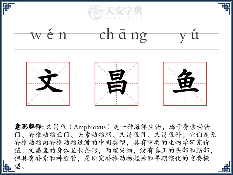文昌鱼