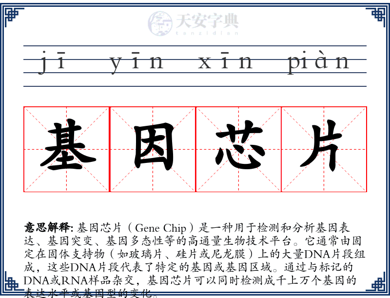 基因芯片