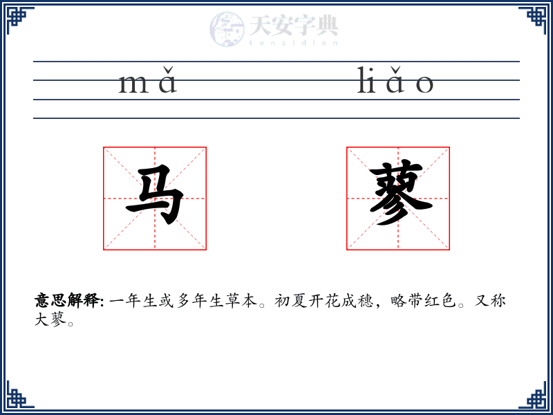 马蓼