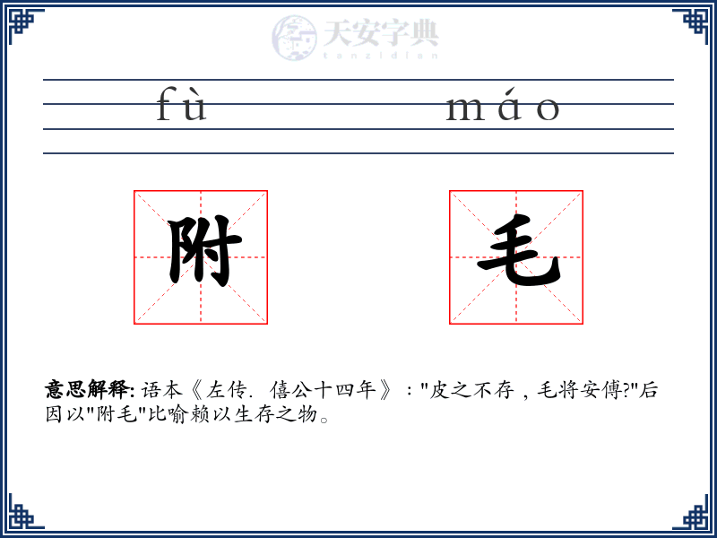 附毛
