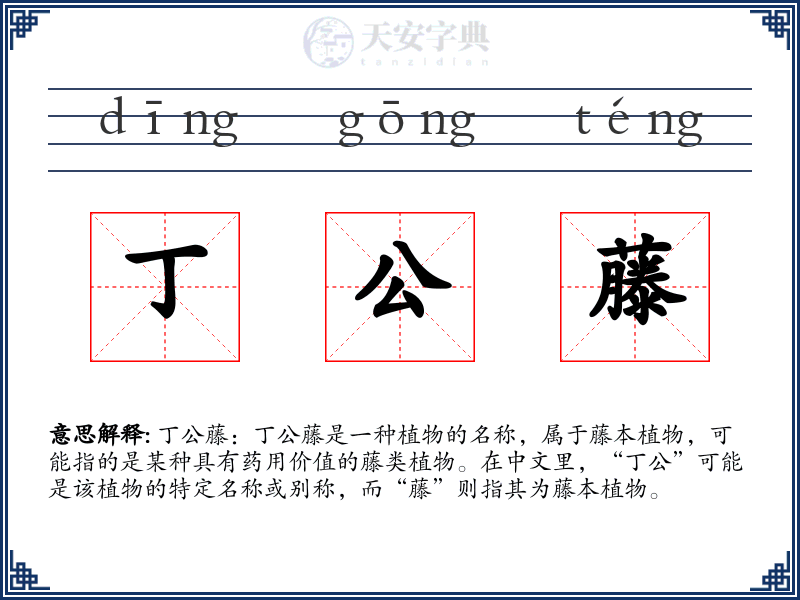 丁公藤