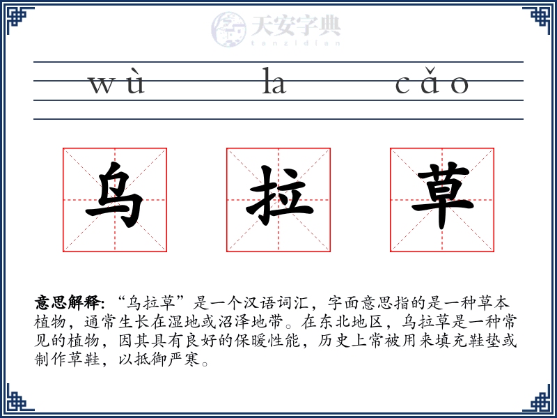 乌拉草