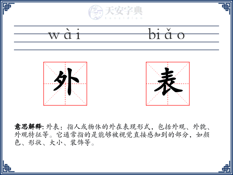 外表