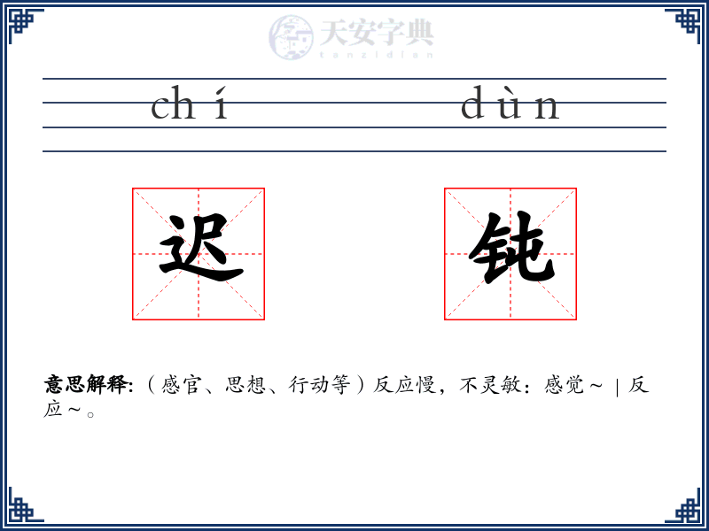 迟钝