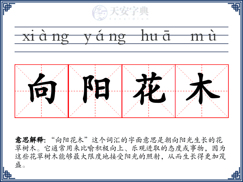 向阳花木