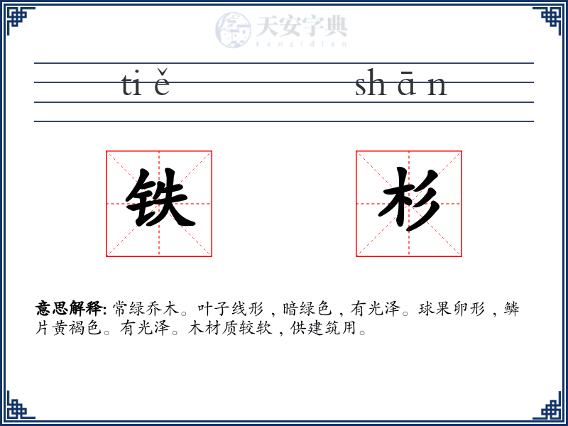 铁杉
