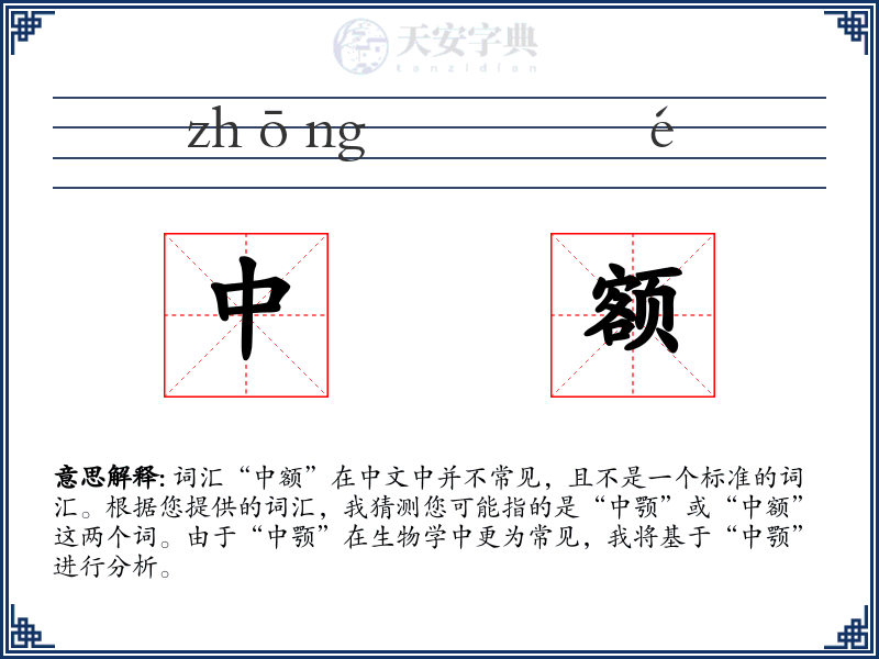 中额